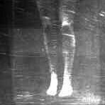 Figure 3 (c) 1995 Nicholas Allen