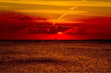 redsea