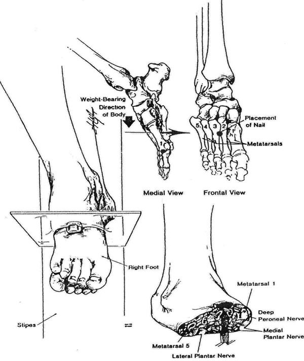 Doc3