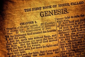 The first two chapters of the Bible narrate the creation story.