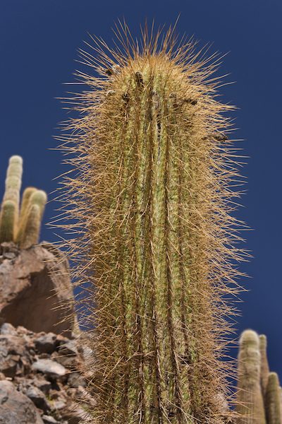 © Steve Allen | Dreamstime.com