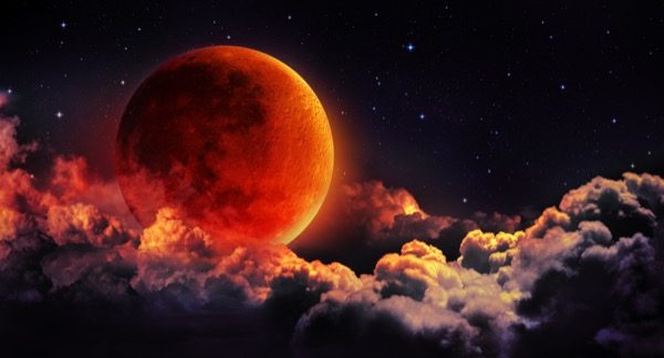 How does God provide guidance for mankind and show the right path and prove the truthfulness of his messengers and prophets? © Romolo Tavani | Shutterstock.com