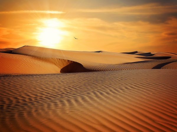 Sunrise at desert