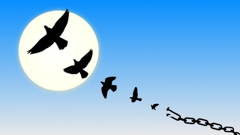 Slaves, Dowry and A Tale of Two Weddings