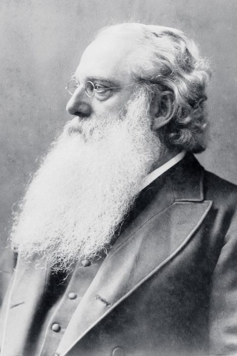 Henry Steel Olcott
©Wikimedia Commons