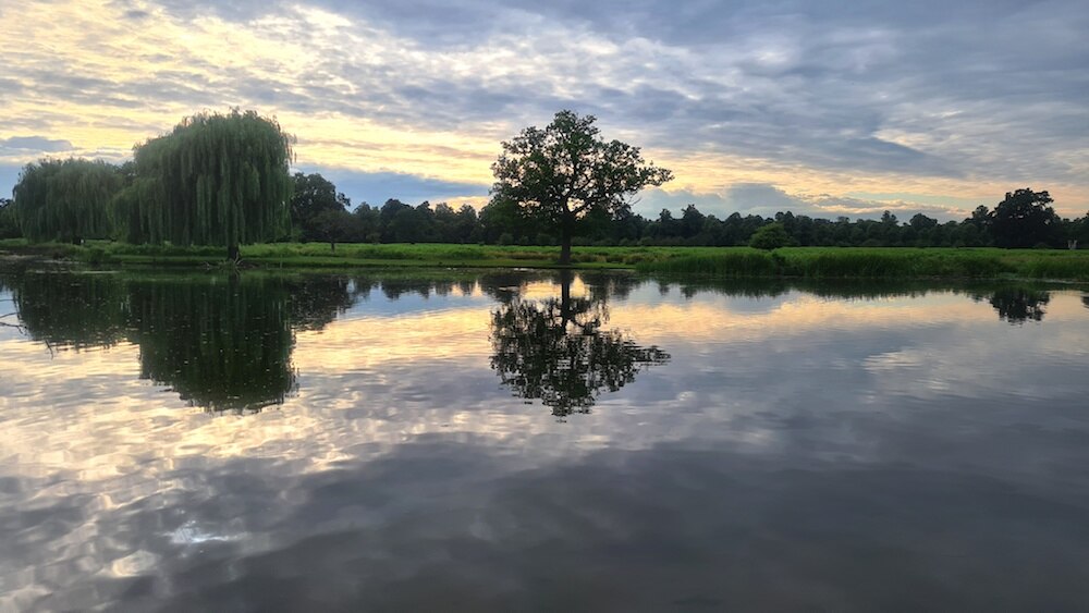 World Wetlands day