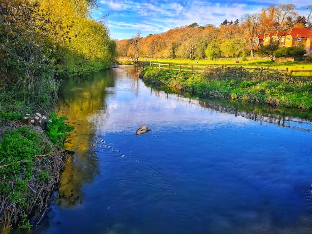 World Wetlands Day