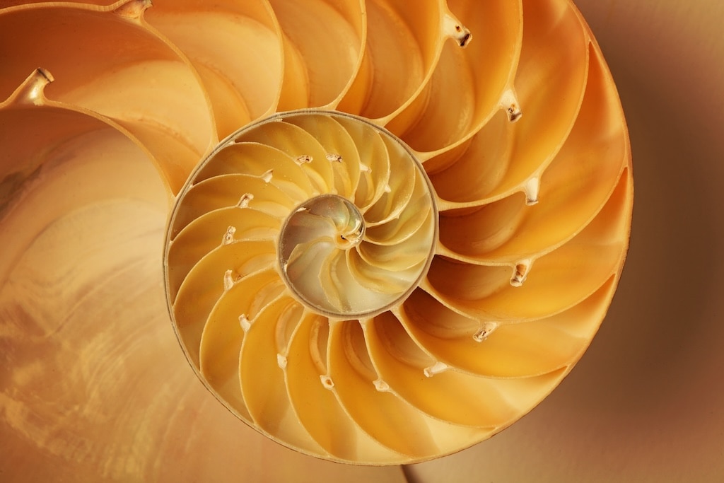 The Golden Ratio: The Divine Beauty of Mathematics: Meisner, Gary
