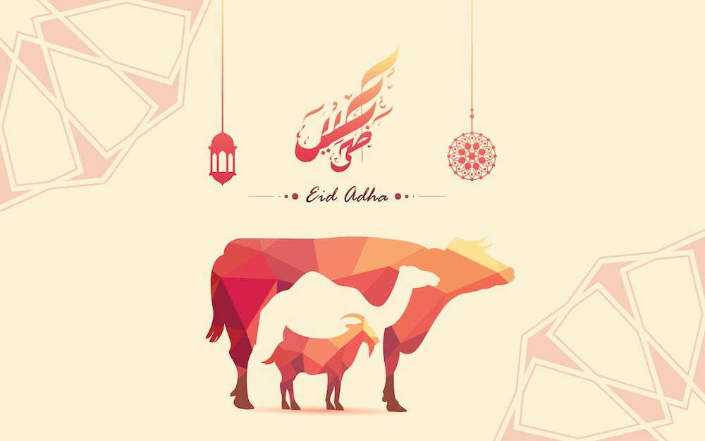 With Veganism on the Rise, Why Do Muslims Still Sacrifice Animals on Eid?