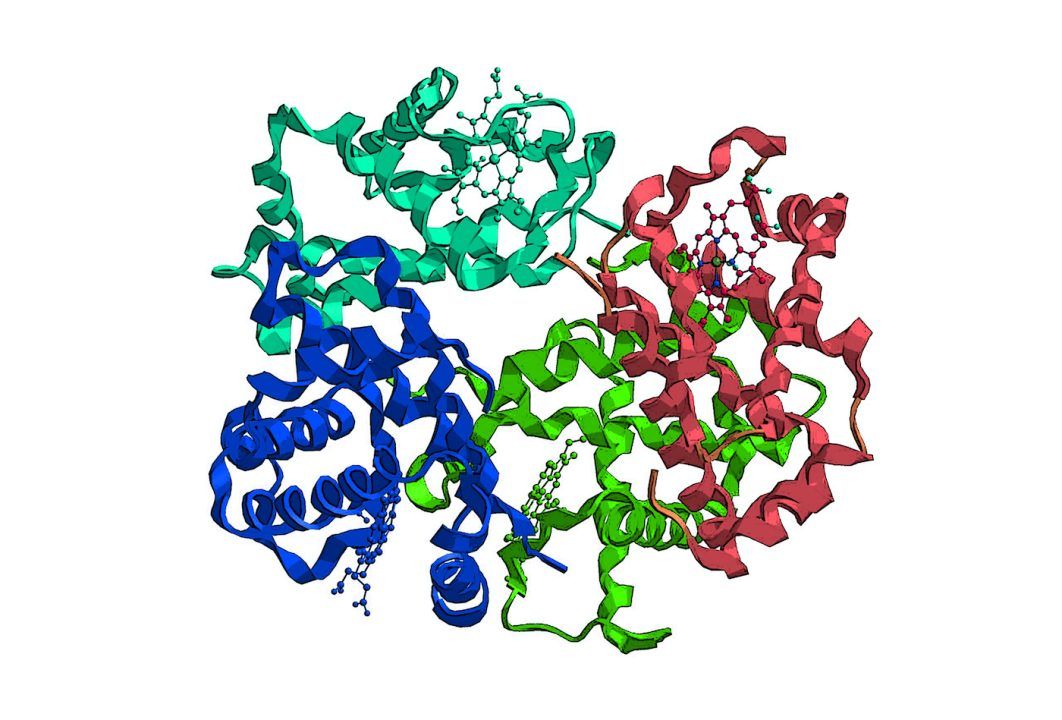 Haemoglobin – A Wonder Molecule; A Grand Design of a Masterful Creator