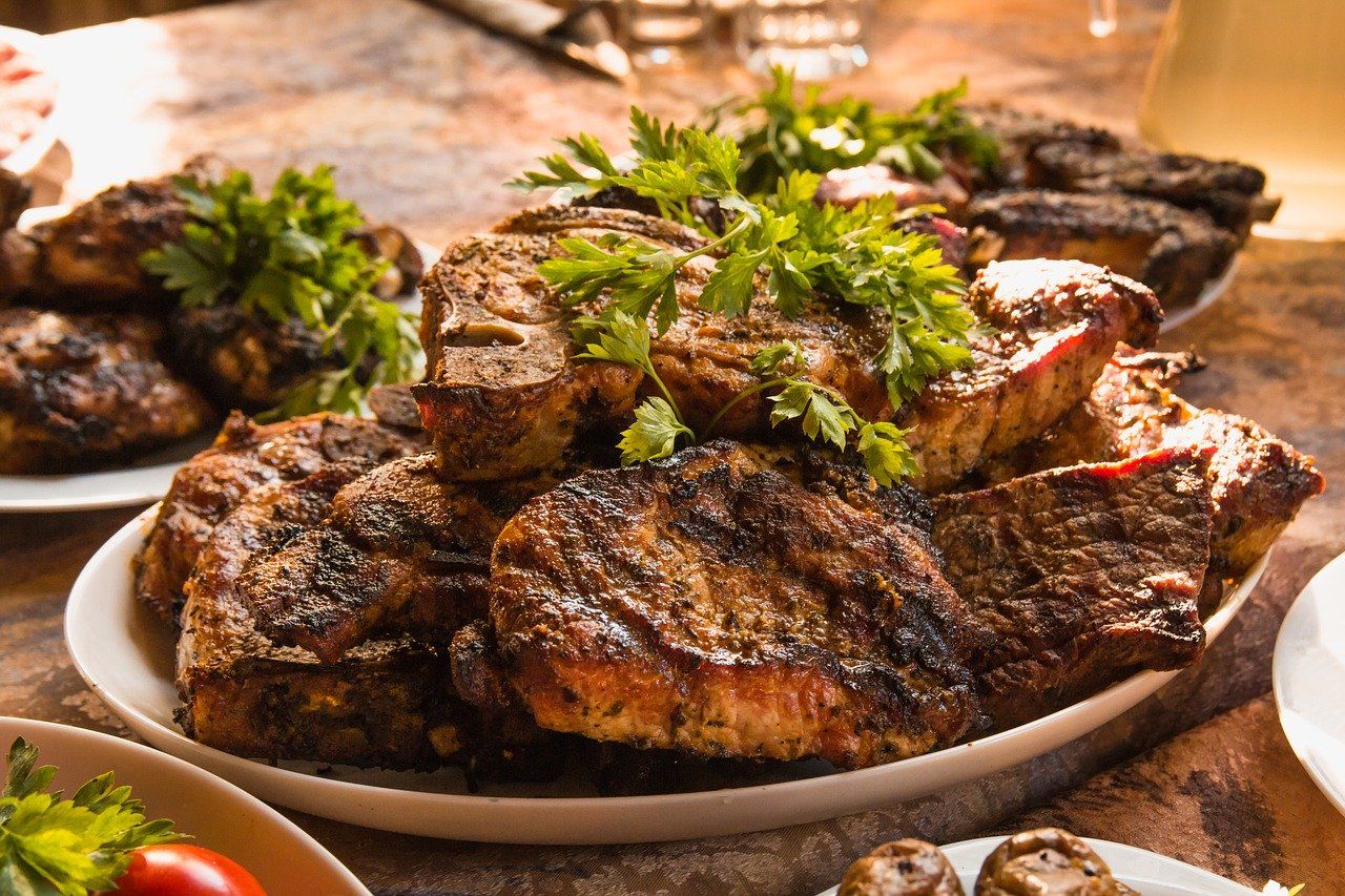 Is Meat Consumption Essential for a Healthy Diet? (A Scientific Perspective)