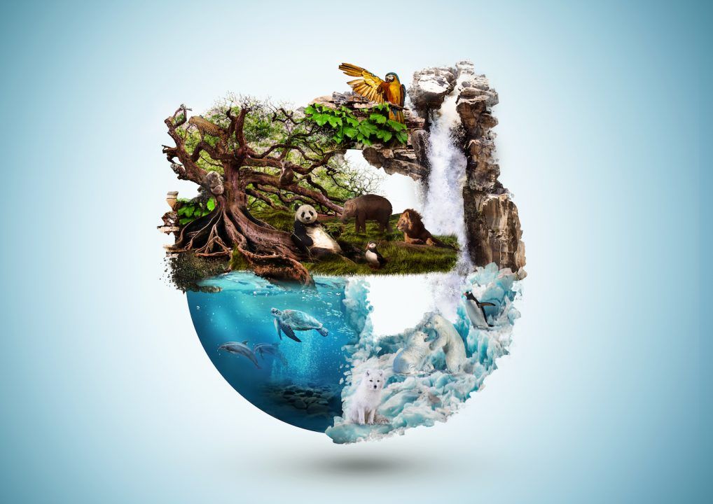 A Quest for the Origin of Life: From the Primordial Soup to Goldilocks Chemistry – Sign of a Grand Designer?